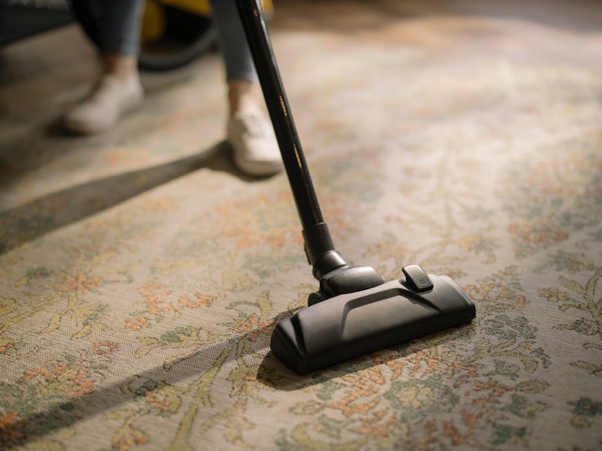 Professional carpet cleaning machine in action
